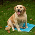 high quality pet dog cat dry bath towel